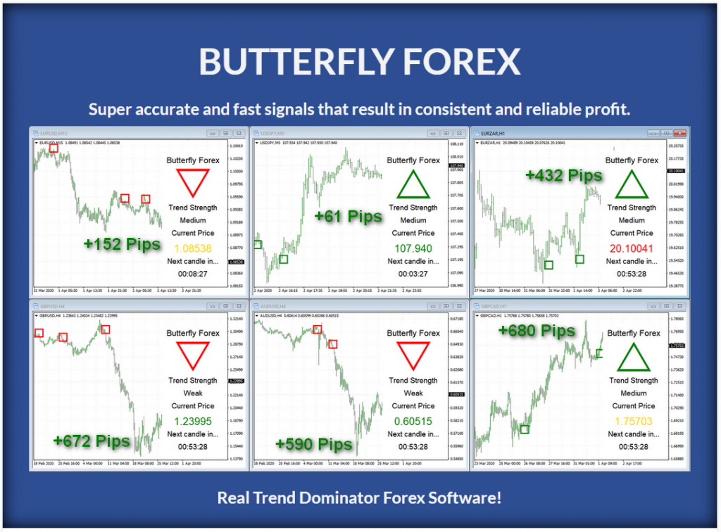 Forex Butterfly Strategy